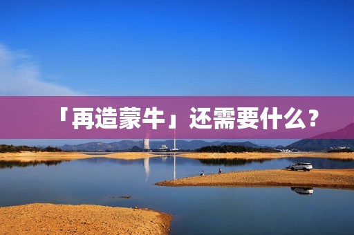 「再造蒙牛」还需要什么？