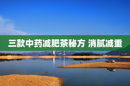 三款中药减肥茶秘方 消腻减重