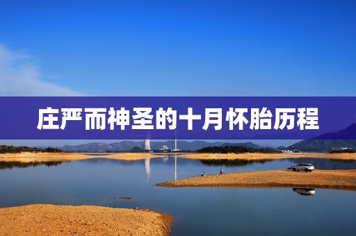 庄严而神圣的十月怀胎历程