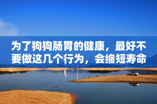 为了狗狗肠胃的健康，最好不要做这几个行为，会缩短寿命的！
