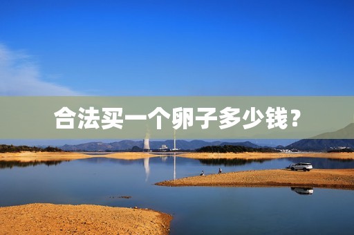 合法买一个卵子多少钱？
