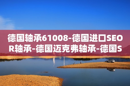 德国轴承61008-德国进口SEOR轴承-德国迈克弗轴承-德国SEOR进口轴承