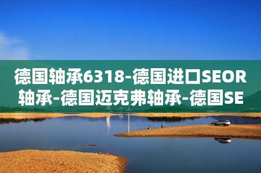 德国轴承6318-德国进口SEOR轴承-德国迈克弗轴承-德国SEOR进口轴承