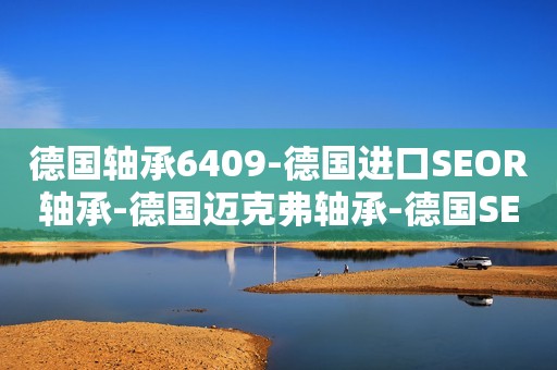 德国轴承6409-德国进口SEOR轴承-德国迈克弗轴承-德国SEOR进口轴承