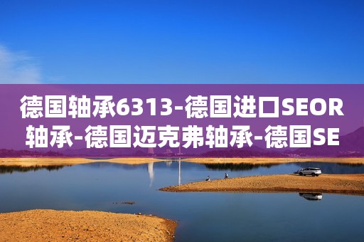 德国轴承6313-德国进口SEOR轴承-德国迈克弗轴承-德国SEOR进口轴承