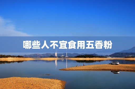 哪些人不宜食用五香粉