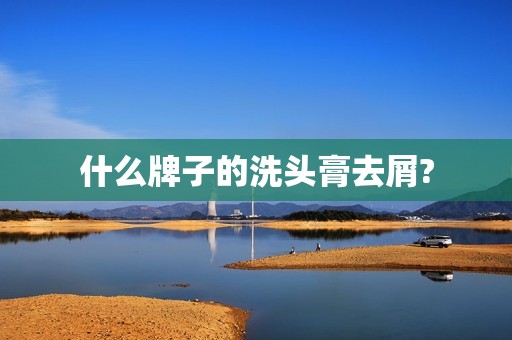 什么牌子的洗头膏去屑?