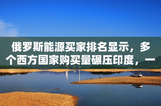 俄罗斯能源买家排名显示，多个西方国家购买量碾压印度，一向冲在反俄第一线的波兰，排名出乎意料。  俄乌爆发军事冲突之后，美国为首的西方国家发起了一系列制裁措施，其中就包括停止采购俄罗斯能源。印度对俄罗斯能源的“爆买”，还引来了西方的不断施压。然而，近日一个独立研究组织公开的数据，曝光了俄罗斯能源买家的排名。  让人大跌眼镜的是，一群西方国家的购买量竟然碾压印度，而高居第七的波兰则是把乌克兰骗惨了。  这份报告显示，在今年5月，中国超过德国，成为了俄罗斯能源出口的最大买家，但在3月和4月期间，德国仍
