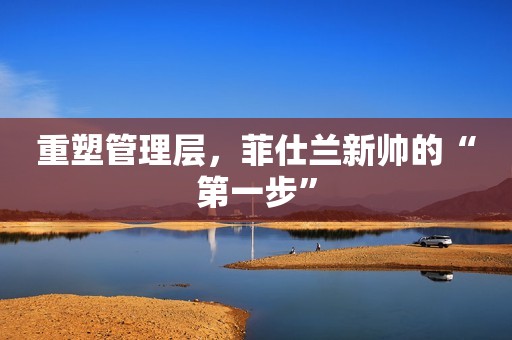 重塑管理层，菲仕兰新帅的“第一步”