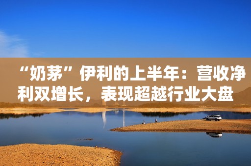 “奶茅”伊利的上半年：营收净利双增长，表现超越行业大盘