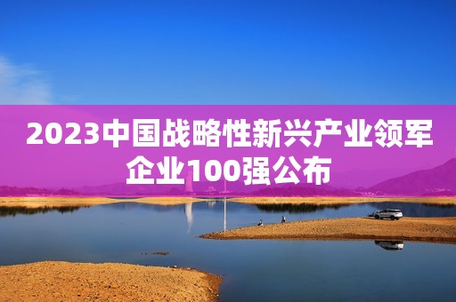2023中国战略性新兴产业领军企业100强公布