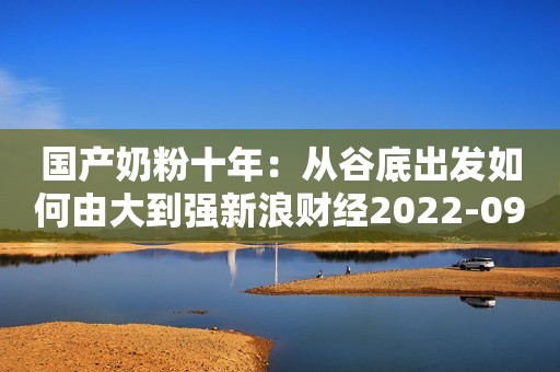 国产奶粉十年：从谷底出发如何由大到强新浪财经2022-09-20 20:22