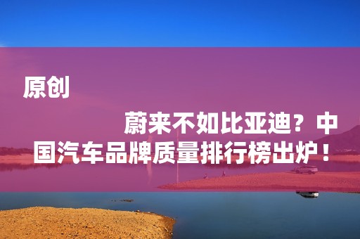 原创
                蔚来不如比亚迪？中国汽车品牌质量排行榜出炉！