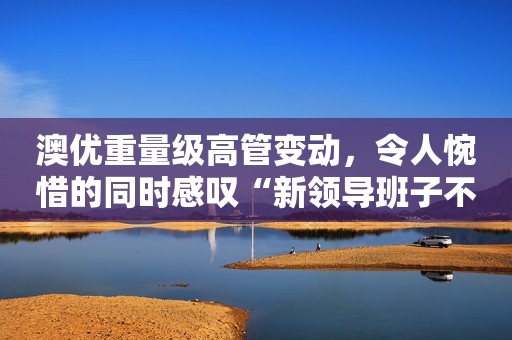 澳优重量级高管变动，令人惋惜的同时感叹“新领导班子不简单”