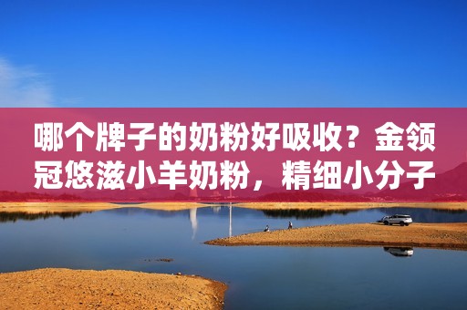 哪个牌子的奶粉好吸收？金领冠悠滋小羊奶粉，精细小分子，亲活好吸收