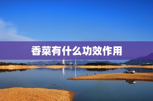 香菜有什么功效作用