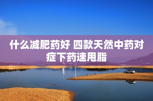 什么减肥药好 四款天然中药对症下药速甩脂
