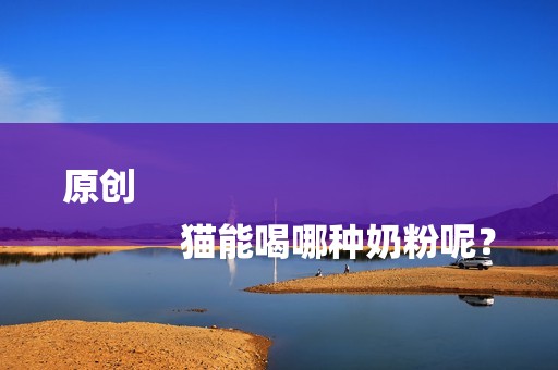 原创
            猫能喝哪种奶粉呢？