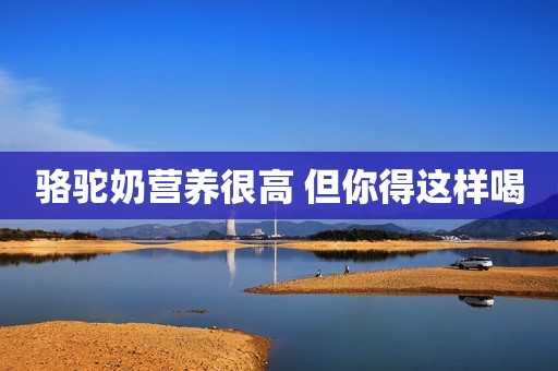 骆驼奶营养很高 但你得这样喝