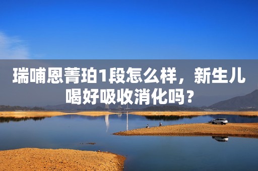 瑞哺恩菁珀1段怎么样，新生儿喝好吸收消化吗？
