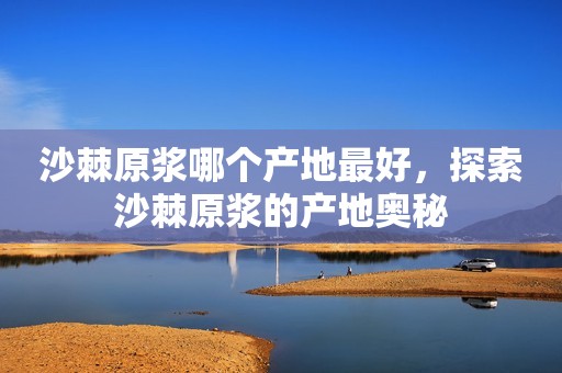 沙棘原浆哪个产地最好，探索沙棘原浆的产地奥秘
