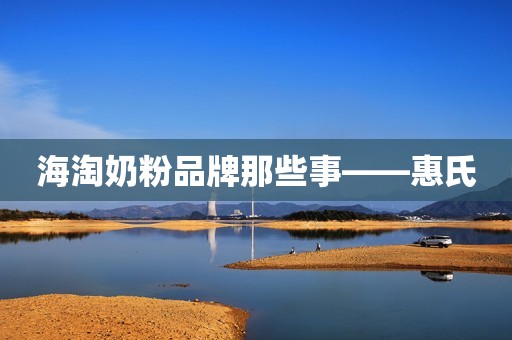 海淘奶粉品牌那些事——惠氏