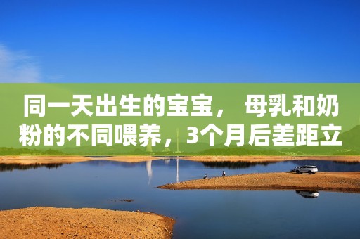 同一天出生的宝宝， 母乳和奶粉的不同喂养，3个月后差距立现
