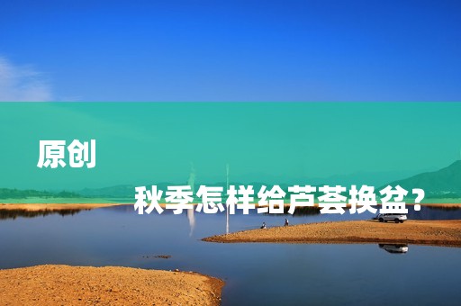 原创
            秋季怎样给芦荟换盆？