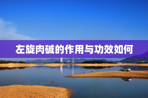 左旋肉碱的作用与功效如何