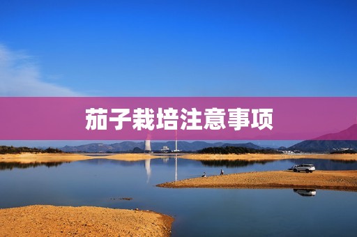 茄子栽培注意事项