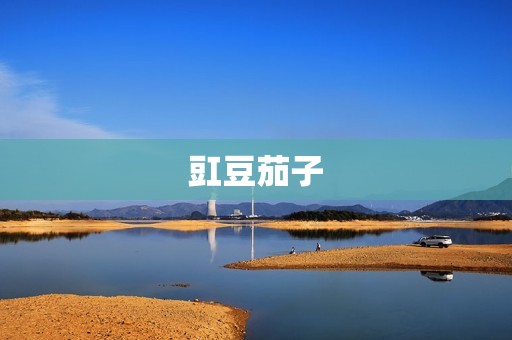 豇豆茄子