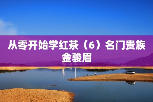 从零开始学红茶（6）名门贵族金骏眉
