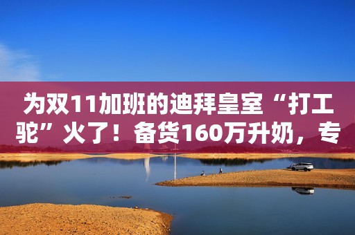 为双11加班的迪拜皇室“打工驼”火了！备货160万升奶，专为中国定制驼奶粉中国日报网2020-10-23 12:07
