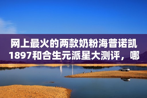 网上最火的两款奶粉海普诺凯1897和合生元派星大测评，哪款值得买