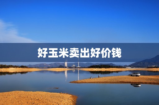 好玉米卖出好价钱