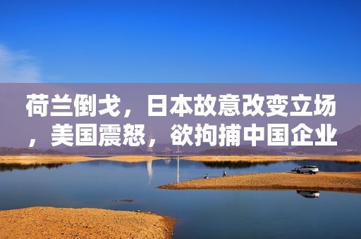荷兰倒戈，日本故意改变立场，美国震怒，欲拘捕中国企业高层