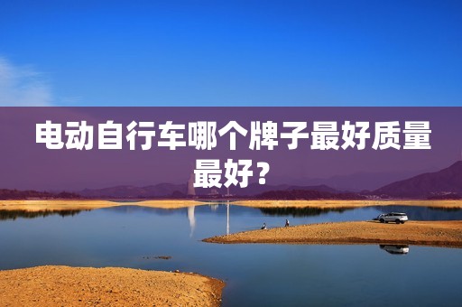 电动自行车哪个牌子最好质量最好？