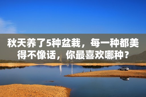 秋天养了5种盆栽，每一种都美得不像话，你最喜欢哪种？