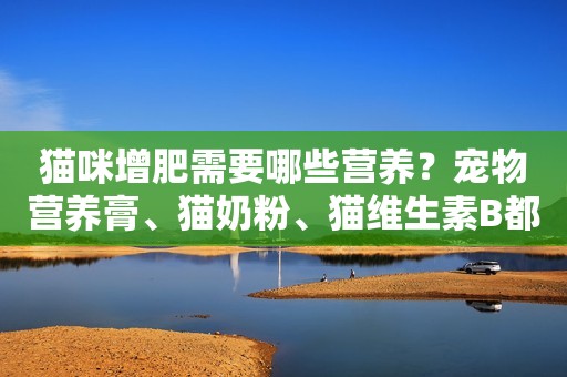猫咪增肥需要哪些营养？宠物营养膏、猫奶粉、猫维生素B都安排上