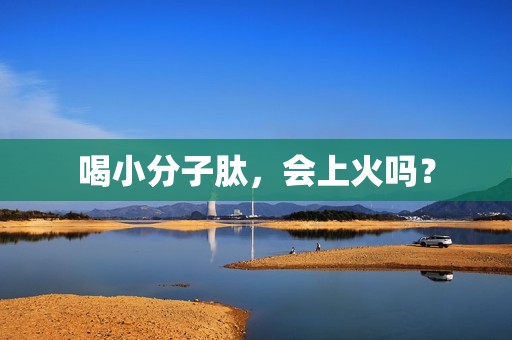 喝小分子肽，会上火吗？