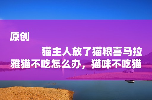 原创
            猫主人放了猫粮喜马拉雅猫不吃怎么办，猫咪不吃猫粮怎么办