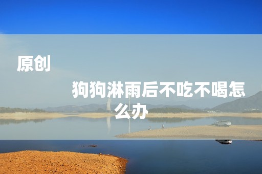 原创
            狗狗淋雨后不吃不喝怎么办