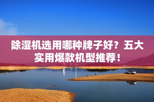 除湿机选用哪种牌子好？五大实用爆款机型推荐！