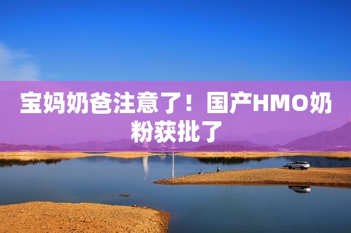 宝妈奶爸注意了！国产HMO奶粉获批了