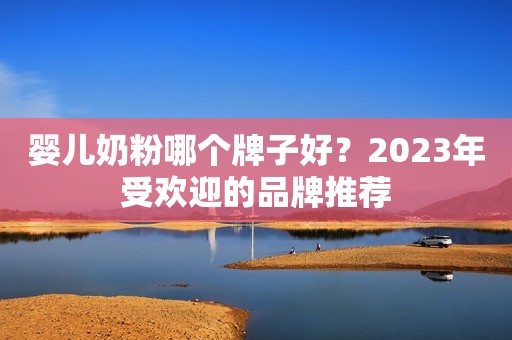 婴儿奶粉哪个牌子好？2023年受欢迎的品牌推荐