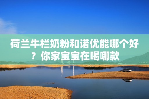 荷兰牛栏奶粉和诺优能哪个好？你家宝宝在喝哪款