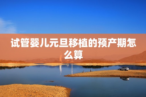 试管婴儿元旦移植的预产期怎么算