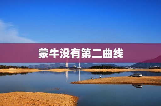 蒙牛没有第二曲线