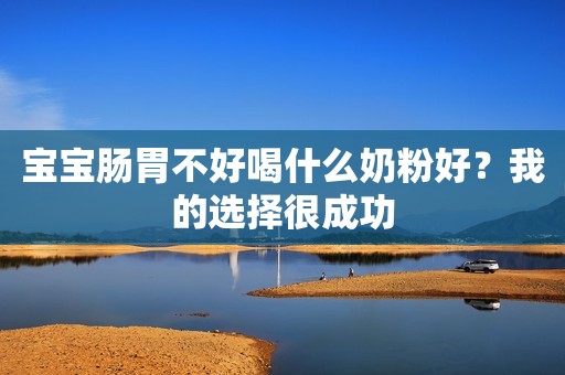 宝宝肠胃不好喝什么奶粉好？我的选择很成功
