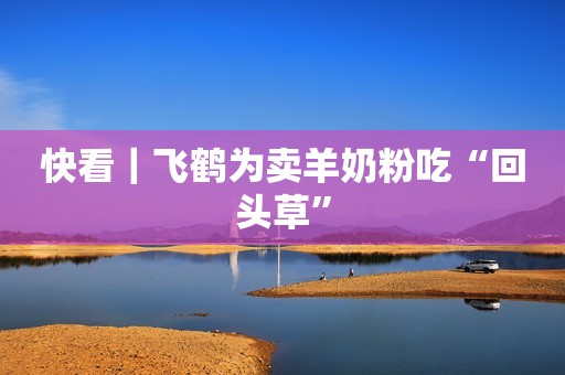 快看｜飞鹤为卖羊奶粉吃“回头草”
